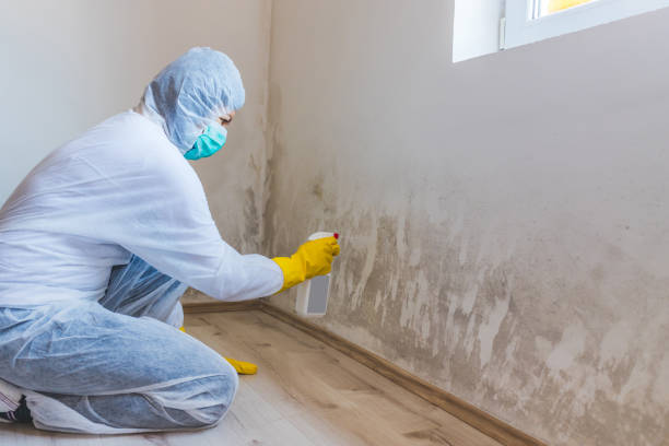 Hvac And Air Duct Mold Remediation inspection of HVAC system in Leonardo