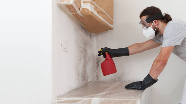 Attic Mold Remediation treatment on roof deck in Leonardo